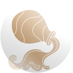 Aquarius